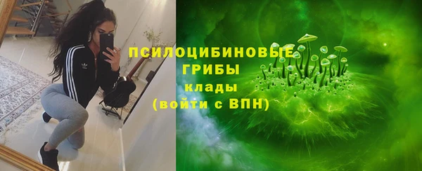 мдпв Абаза